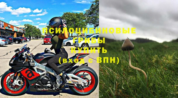 трава Корсаков